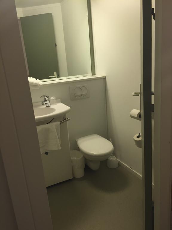 Ibis Budget Palais Nikaia Hotel Nice